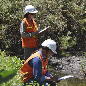 Servicio de Impacto Ambiental